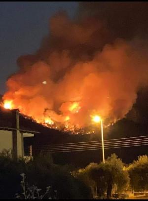 Incendii violente pe insula Thassos. Sute de pompieri intervin pentru stingerea flăcărilor. Turiștii sunt rugați să evite zona