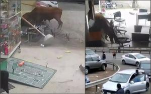 Un taur furios a devastat terasa unui restaurant din Peru, după ce a scăpat din camionul care îl ducea la abator