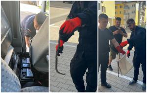 Şarpe găsit printre colete, într-o maşină de curierat din Floreşti, Cluj. Şoferul a sunat imediat la 112