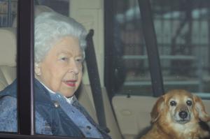 Soarta câinilor Reginei Elisabeta a II-a, după moartea stăpânei lor. "Este puțin probabil să fie despărțiți"