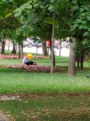 O craioveancă, la furat de flori din parc cu BMW-ul. Imaginile au devenit virale