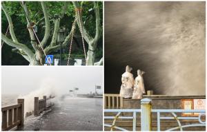 Taifunul Muifa, cel mai puternic înregistrat în Shanghai din 1949, a lovit China. Peste 1 milion de oameni evacuaţi şi sute de zboruri anulate
