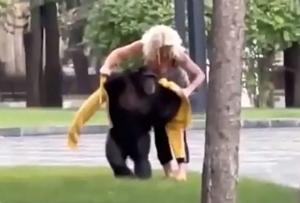 Chichi, un cimpanzeu care a scăpat de la un zoo din Ucraina, a fost plimbat cu bicicleta prin parc. VIDEO