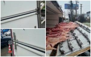 Cabina frigorifică a unui camion s-a dezmembrat în mers pe centura Craiovei. Zeci de carcase de porc s-au împrăştiat pe şosea