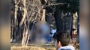 Doi tineri au întreţinut relaţii sexuale ziua în amiaza mare într-un parc din Oneşti. Nu le-a păsat nici de copii şi nici că pot fi văzuţi