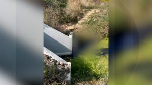 Bărbat de 59 de ani, găsit mort într-un canal de irigaţie din Timişoara. Era mort de câteva zile