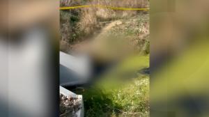 Bărbat de 59 de ani, găsit mort într-un canal de irigaţie din Timişoara. Era mort de câteva zile
