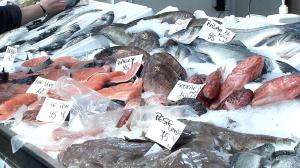 Cât de proaspăt e peştele cumpărat din piaţă sau din supermarket. Observator a dus carnea la laborator: rezultatele sunt neaşteptate
