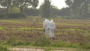 Ucis în lanul de porumb. O combină agricolă l-a strivit până la moarte în timp ce dormea, pe un câmp din Olanda