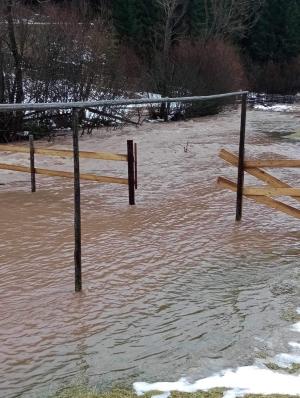 Cod roșu de inundații în nordul României. Posibile depășiri ale cotelor de pericol