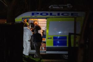 O fetiţă de 4 ani a murit sfâşiată de colţii unui câine, în curtea din spatele casei. "Totul e sub control", susţin poliţiştii englezi
