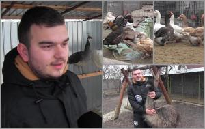 Oul vândut cu 150 de lei bucata. Afacerea cu care a dat lovitura un tânăr de 19 ani din Arad