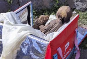 Bărbat din Peru, prins de poliţişti cu o mumie în geantă: o botezase "Juanita" şi o considera "iubita sa spirituală"