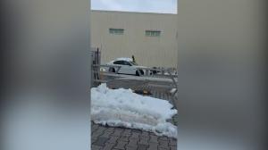 "A spălat-o cu grijă să nu o atingă pe doamna zăpadă". Cum a devenit viral pe internet un șofer de BMW din Brăila