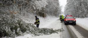Vremea rea a făcut prăpăd în țară. Pompierii din Arad au intervenit pentru a îndepărta copacii doborâți de zăpadă