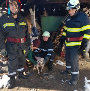 O bătrână din Mehedinți a trăit clipe de panică, după ce câinele ei a căzut într-o fântână adâncă de 13 metri. Misiunea i-a emoționat pe pompieri