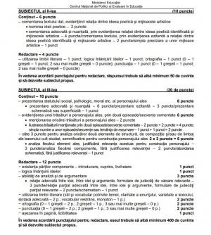 Barem Limba română simulare Bacalaureat 2023. Cum se rezolvă subiectele