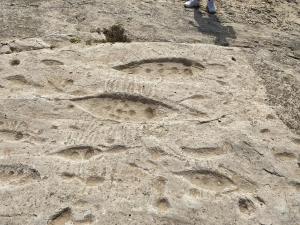 Simboluri misterioase descoperite în deșertul din Qatar. Primele ipoteze ale arheologilor