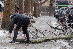O furtună de gheață a paralizat Canada. Peste un milion de oameni au rămas fără curent, după ce copacii s-au prăbușit peste cablurile electrice