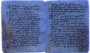 Un fragment din Biblie, vechi de peste 1750 de ani, descoperit în Biblioteca Vaticanului