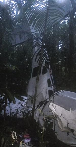 Miracol după catastrofă: Patru copii au fost găsiţi în viaţă la mai bine de 2 săptămâni după ce avionul în care se aflau s-a prăbuşit într-o junglă