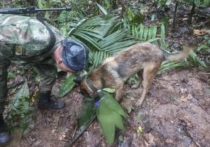 Răsturnare de situaţie: cei patru copii dispăruţi de 18 zile în jungla columbiană nu au fost găsiţi. Preşedintele şi-a şters mesajul