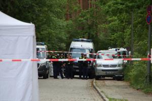 Şi-au ucis tatăl cu sânge rece: Bărbat de 40 de ani, împuşcat mortal în Berlin. Printre călăi, cei 2 copii, dar şi un adolescent român