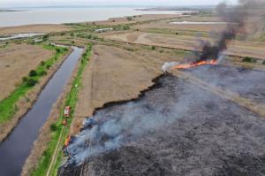 Incendiu de vegetaţie în Tulcea, focul se întinde pe 40 de hectare. Două echipaje de pompieri luptă cu flăcările