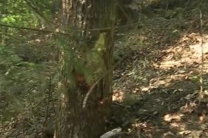 O femeie de 39 de ani din Iași a murit, iar o alta a fost rănită, după ce au intrat cu ATV-ul într-un copac. Cele două se aflau în teambulding în Suceava