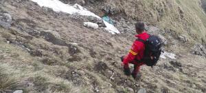 Misiune cu final fericit. Cățeluș salvat dintr-o prăpastie din Bucegi, după ce a alunecat aproape 200 de metri. Era cu stăpâna lui în drumeție