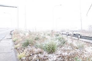 Johannesburg, peisaj de poveste cu prima ninsoare în 11 ani. Oamenii, impresionaţi de peisaj: "Magie pură"