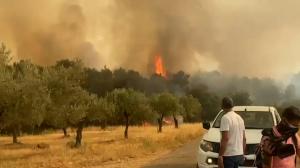Corespondenţă Observator din Grecia: "Este o situație devastatoare, un dezastru al naturii". Un nou focar s-a înteţit în apropierea unui depozit de gaze