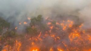 Incendii în Grecia. O româncă descrie cursa pentru supravieţuire în infern: Oamenii se aruncau unii pe alţii peste bord, de pe feribot