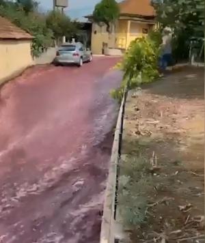 Străzile unui oraş din Portugalia s-au colorat în roşu, după ce două milioane de litri de vin au luat-o la vale