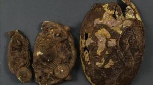O comoară vikingă veche de 1.000 de ani, descoperită accidental de membrii unei familii care căutau un cercel de aur