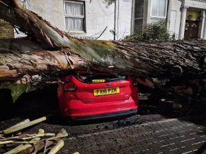 Furtuna Henk face ravagii în Marea Britanie: copaci prăbuşiţi şi aproape 40.000 de case fără electricitate