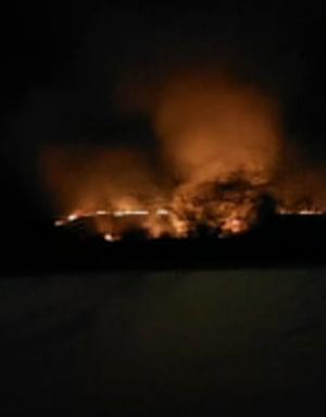 Incendii puternice de vegetație, în mai multe zone din judeţul Gorj. Zeci de hectare de teren s-au făcut scrum