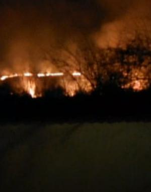 Incendii puternice de vegetație, în mai multe zone din judeţul Gorj. Zeci de hectare de teren s-au făcut scrum