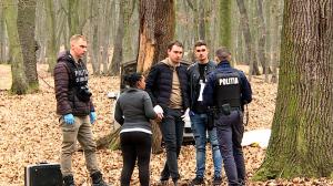 Moarte misterioasă în pădure, la câţiva kilometri de Târgu Mureș. Bătrân găsit fără suflare după ce a intrat cu maşina în copac
