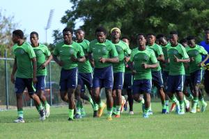 Federaţia Nigeriană de Fotbal îşi caută selecţioner pe social media. Ce calităţi trebuie să aibă viitorul antrenor