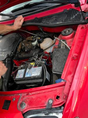 Un cățel a mers peste 100 de kilometri ascuns în motorul unei mașini, pe drumul Timișoara - Cluj-Napoca: "Problema e că nu îl pot păstra"