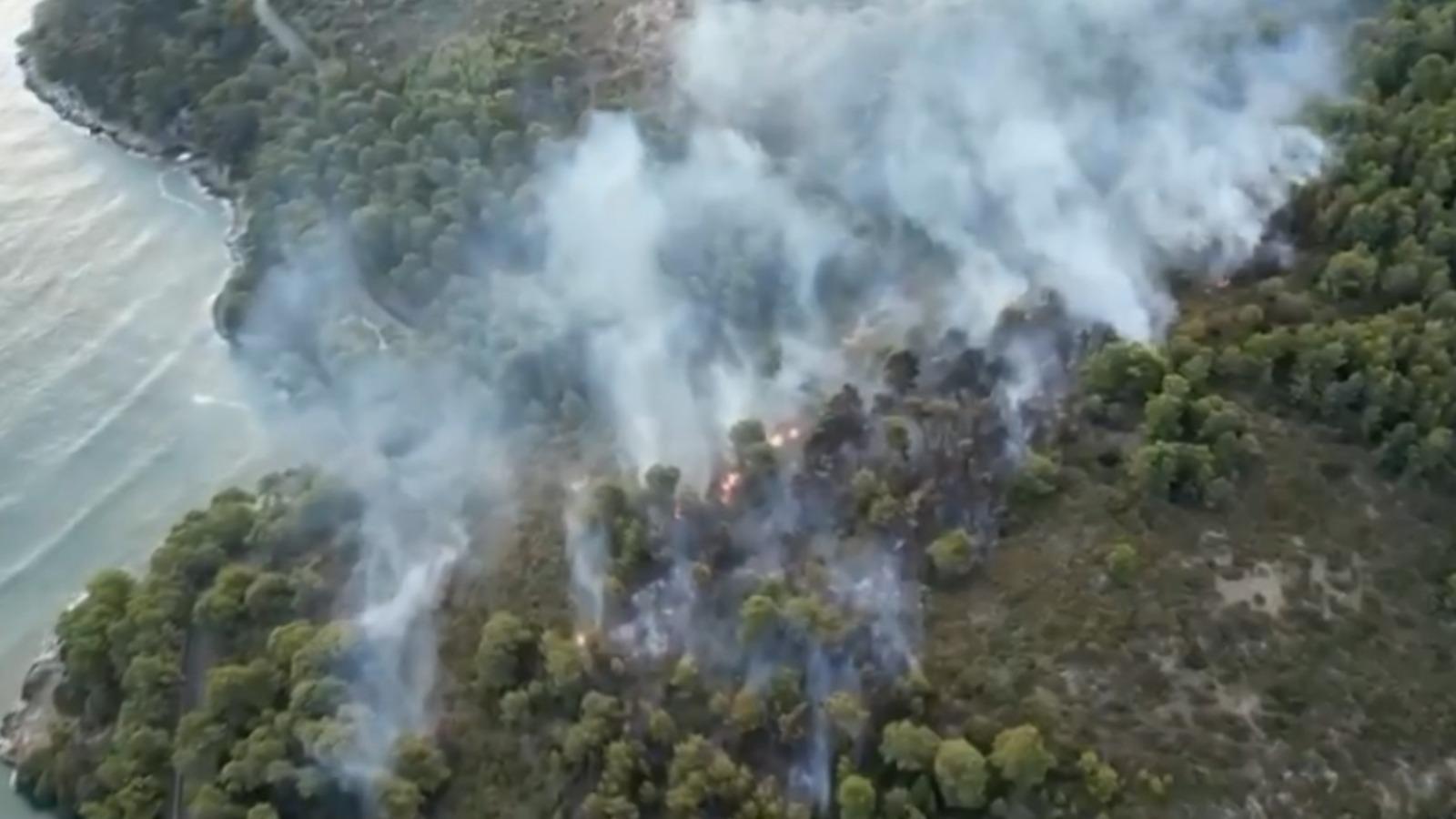 Incendio boschivo in Puglia, Italia. I turisti sono stati evacuati dalla zona e ospitati in una palestra: “La situazione è critica”