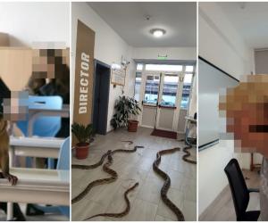Elevii din Focșani şi-au speriat profesorii cu o maimuță creată cu AI. Gluma i-ar putea costa scump