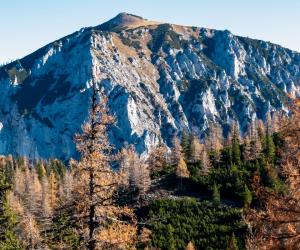 Salariu de mii de euro și cazare gratuită. Țara care caută muncitori pentru stațiunile montane