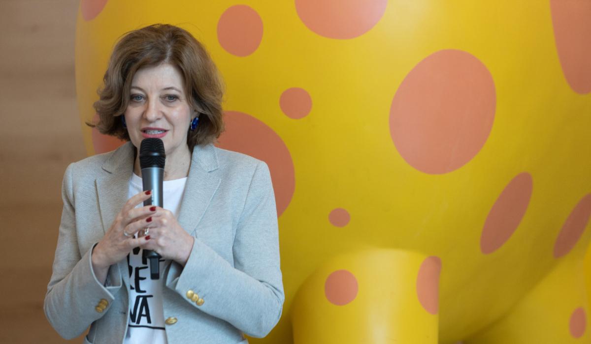 Oana Gheorghiu: "Comentariile mele anterioare nu angajează statul român sau Guvernul României"