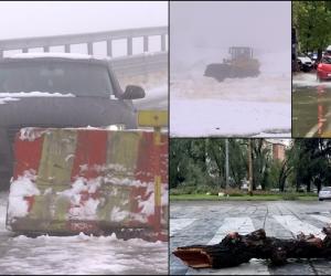 Val de fenomene extreme în România. Zeci de copaci au fost doborâți, viscol şi ninsori în jumătate de țară