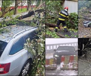 Fenomene extreme în România. Zeci de maşini avariate, cod roșu și portocaliu de viscol în jumătate de țară