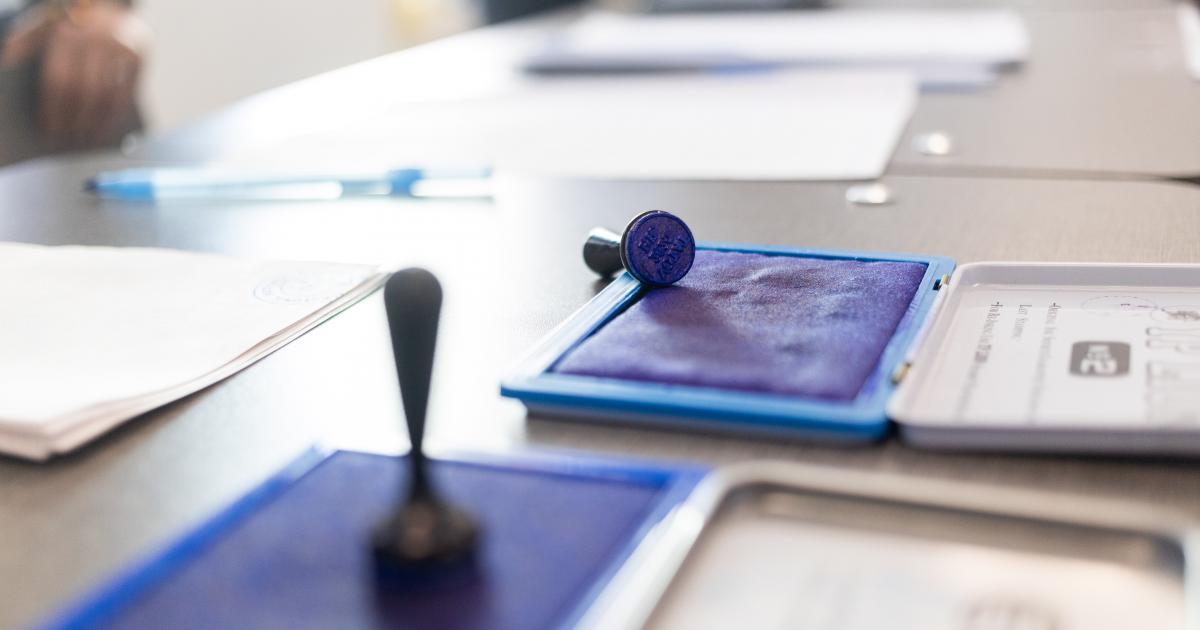 Guvernul a alocat 67,6 milioane lei pentru alegerile locale parţiale din 7 decembrie