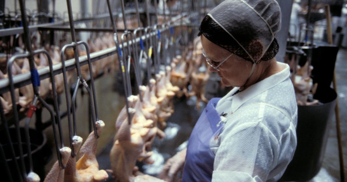 După patru ani, o cunoscută companie olandeză părăsește piața din România