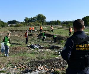 De la spart lemne la curățat terenuri. Cât costă să angajezi deținuți cu ora pentru treburile din gospodărie